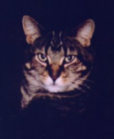 Don't Mess with me --- Face