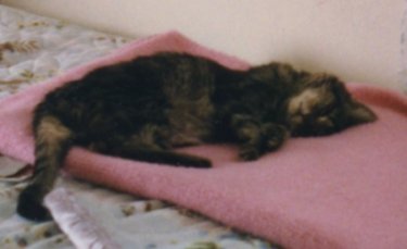 I'm Sleeping - leave me alone