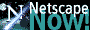 Get Netscape 4